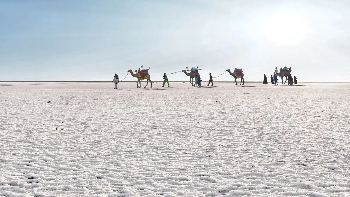 Camel caravan crossing the white salt desert in daylight