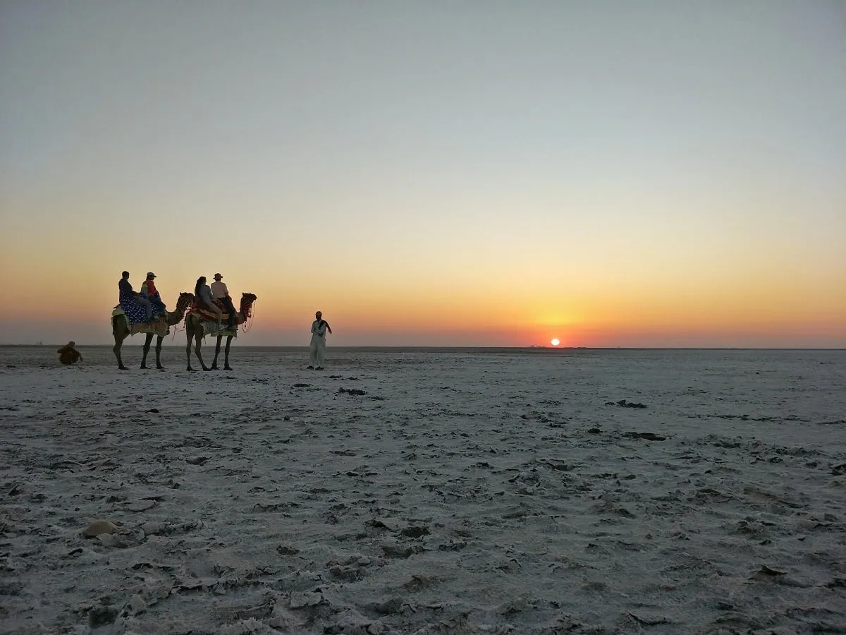 Camel safari at sunset on the White Rann of Kutch
