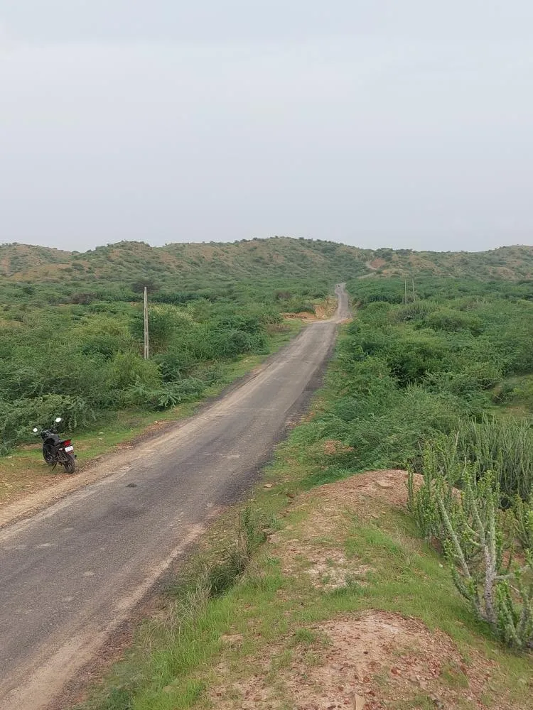 White Rann vista in Kutch Gujarat