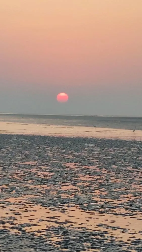 Late autumn sunset in Kutch Gujarat