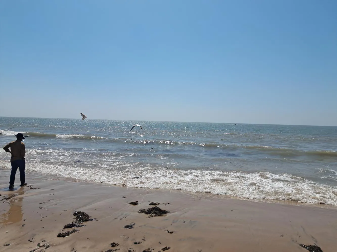 Summer afternoon landscape in Kutch Gujarat