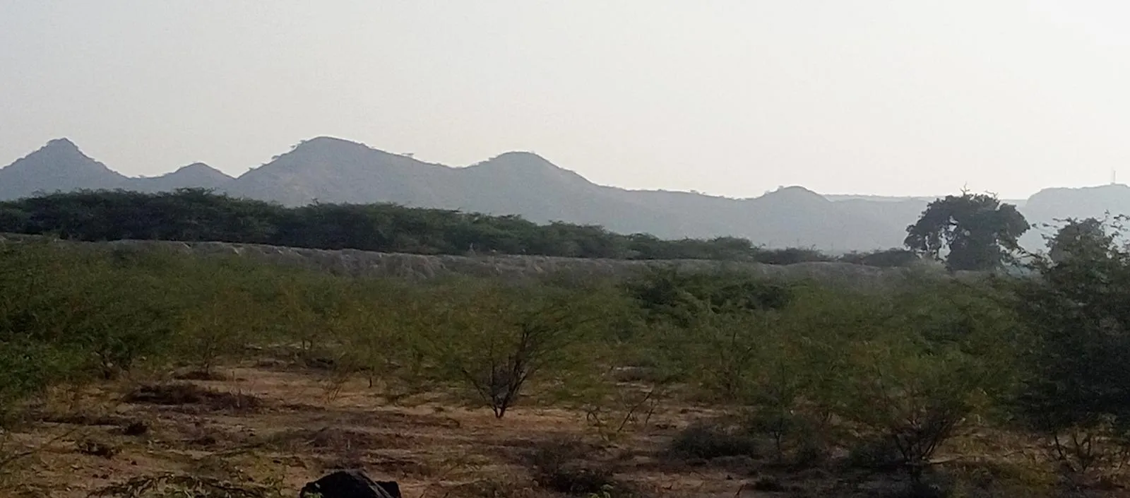 Kutch landscape gallery photo