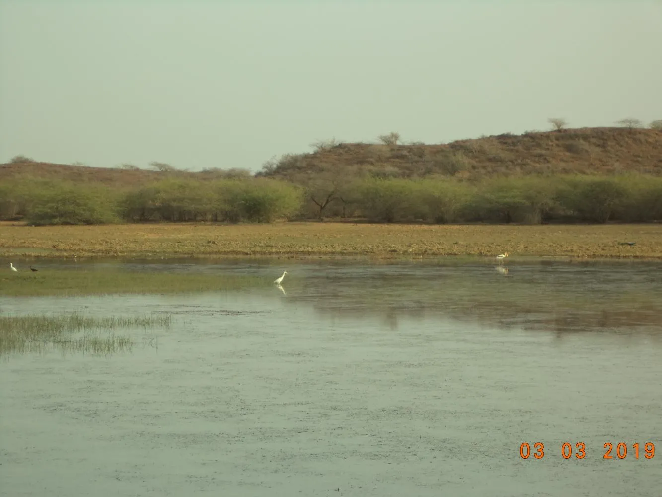 Kutch landscape gallery photo