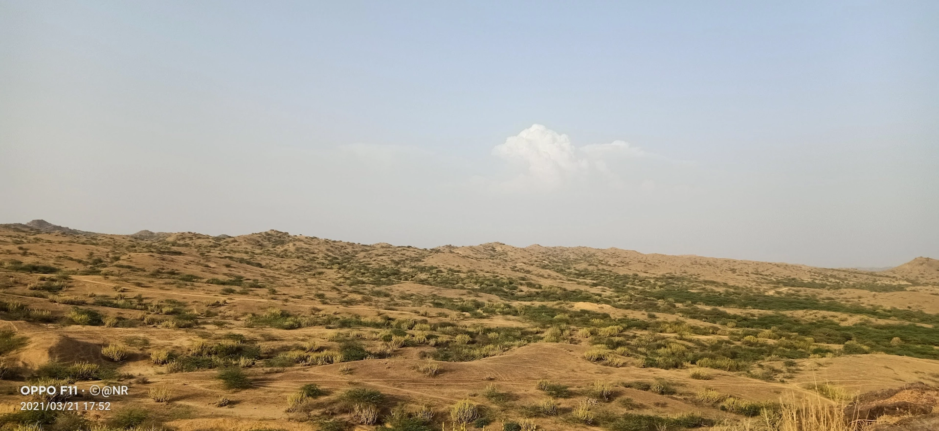 Kutch landscape gallery photo