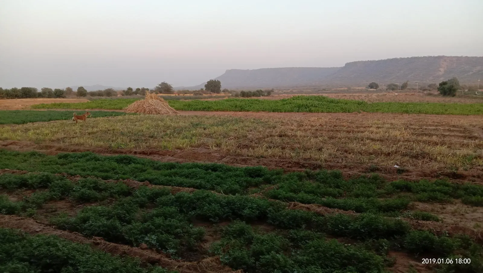 Kutch landscape gallery photo