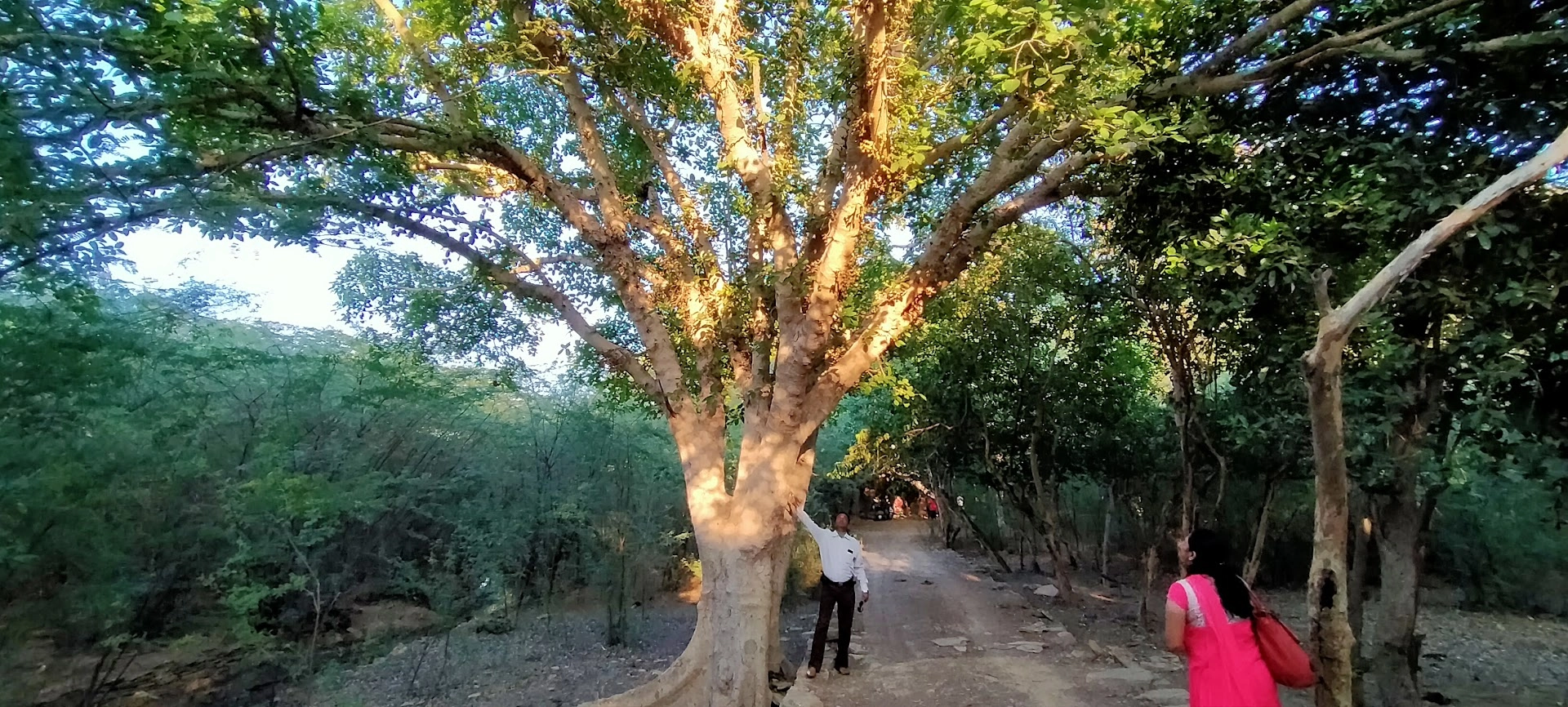 Chadva Rakhal hills in Kutch Gujarat