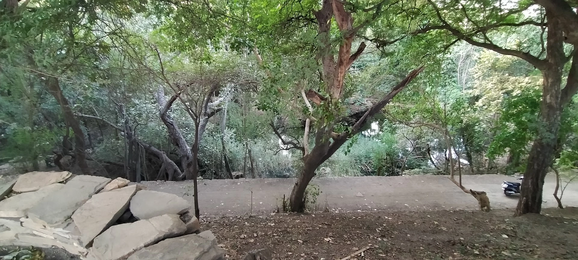 Chadva Rakhal hills in Kutch Gujarat