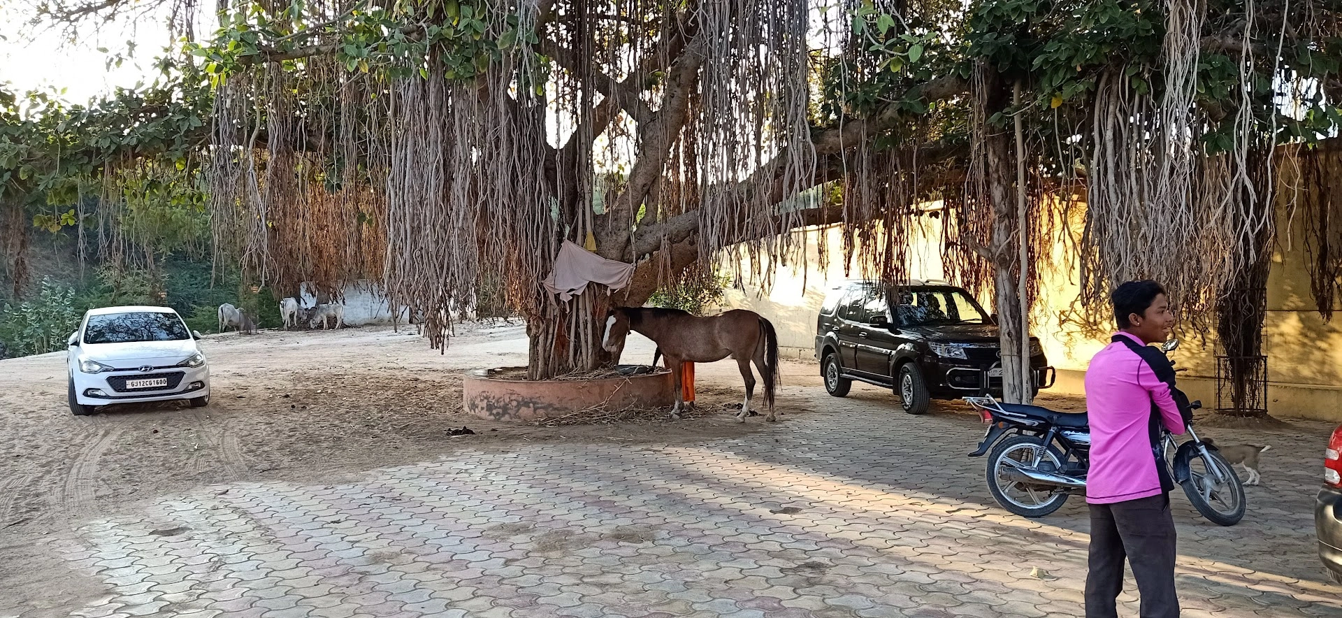 Kutch landscape gallery photo