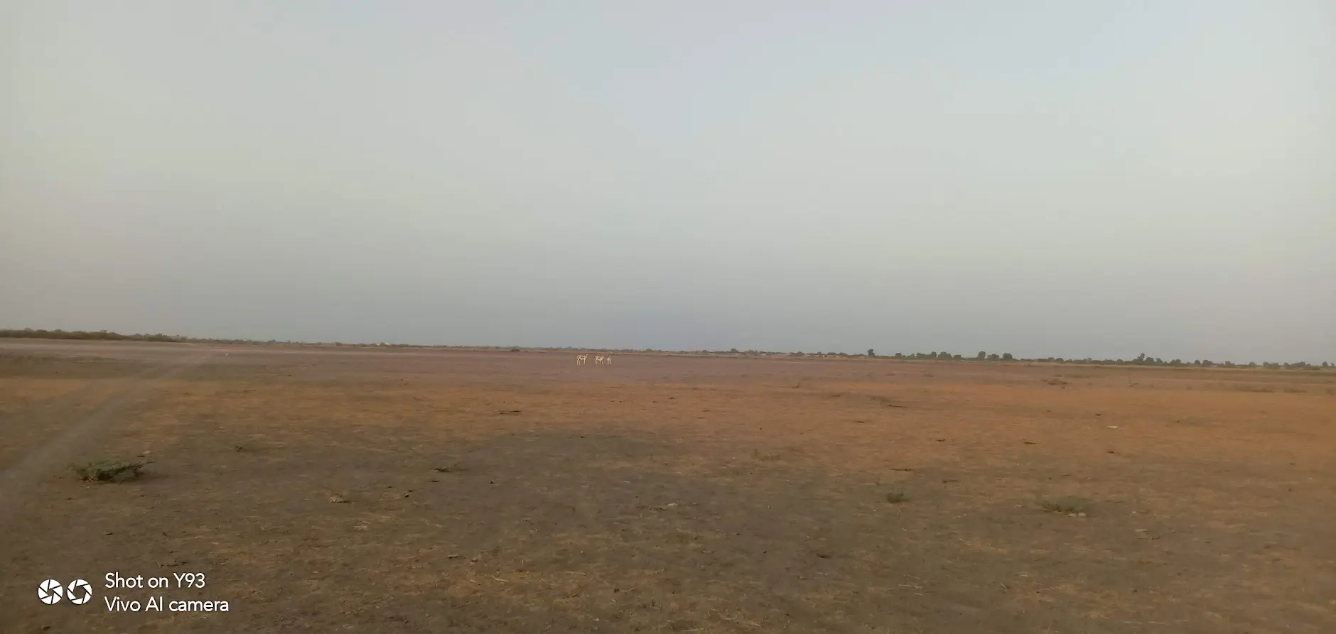 Small Rann