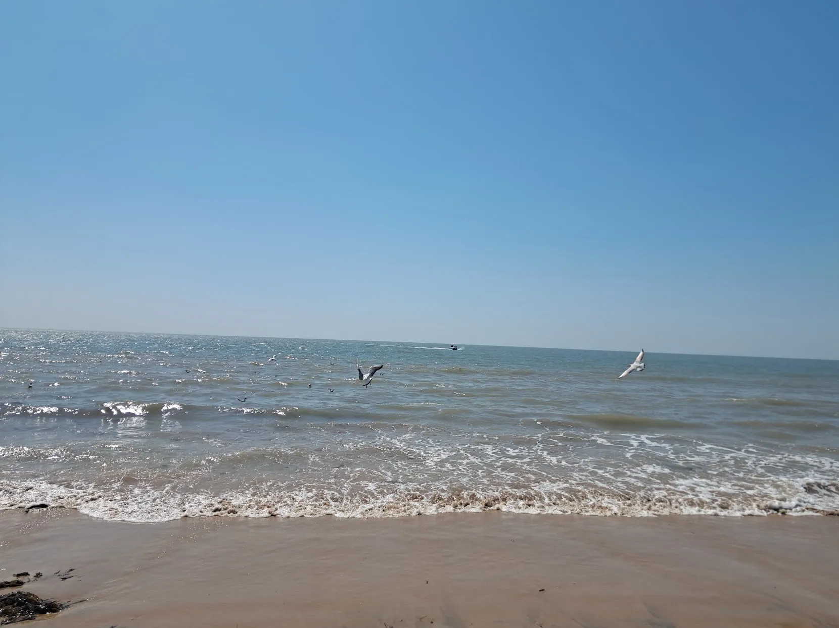 Mandvi Beach